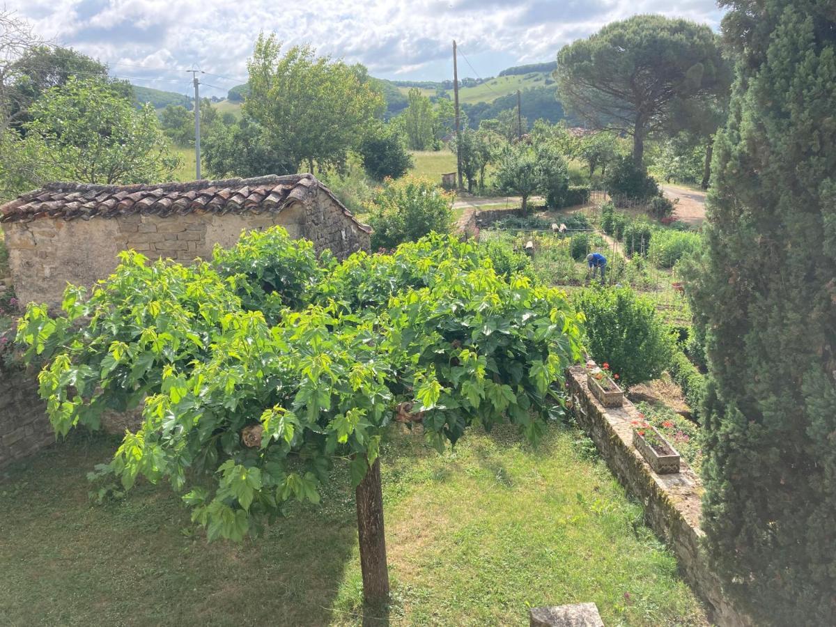 La Ferme Du Paradis Verfeil-sur-Seye 外观 照片