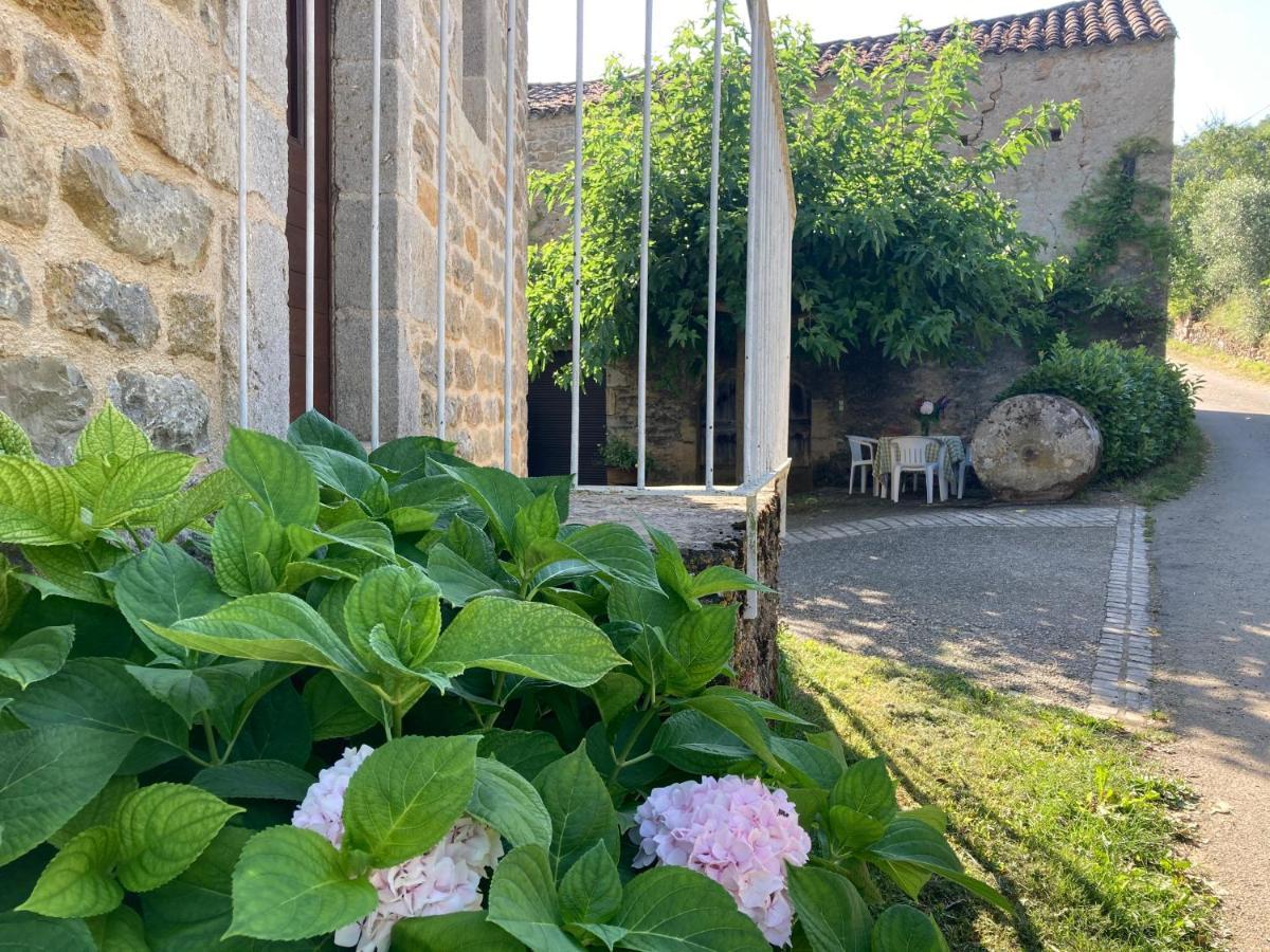 La Ferme Du Paradis Verfeil-sur-Seye 外观 照片